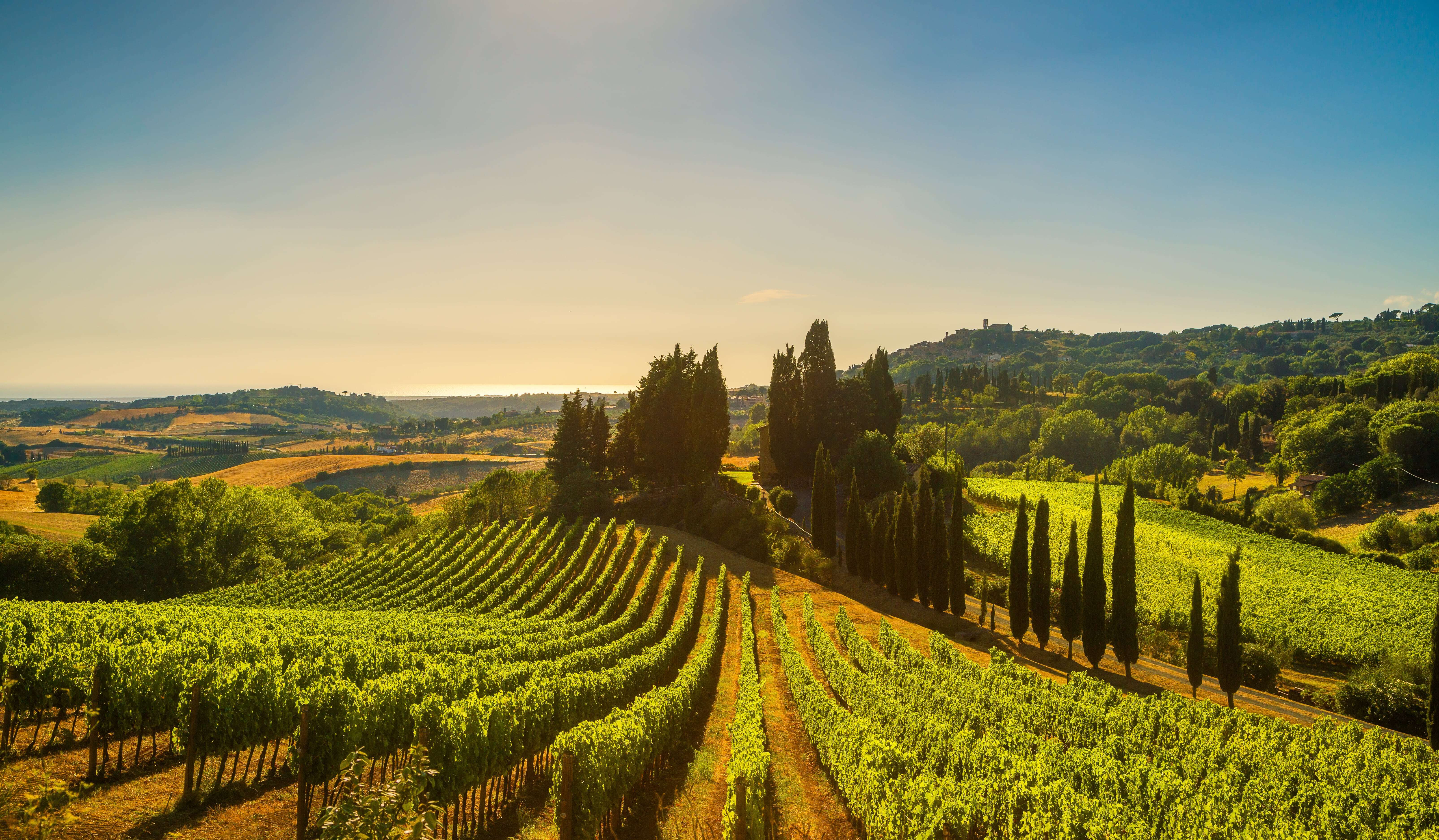 AdobeStock_189081488-min