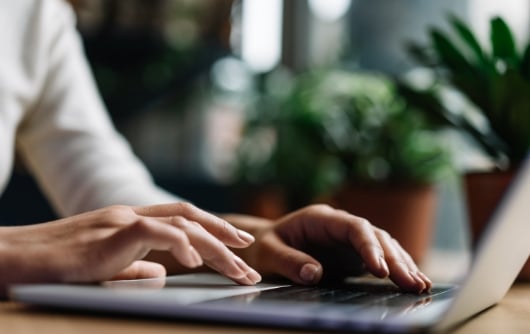 Digital Strategist