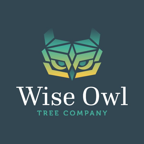 Wise Owl